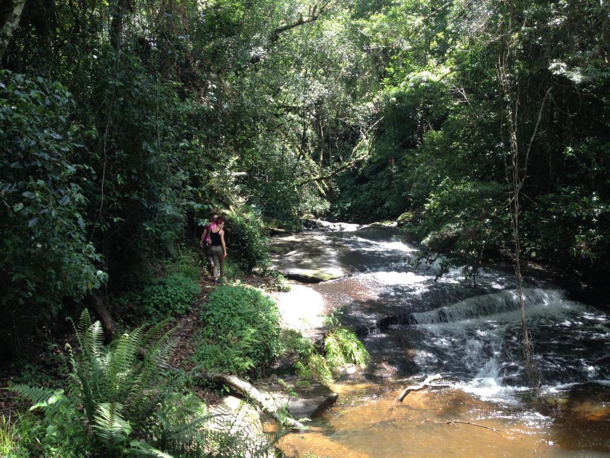 Blend Lodge And Kitchen - Pakachere Zomba 外观 照片